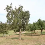 Ancien Avec Wifi Et Animaux Admis Près De La Suisse Normande - Fr-1-497-141