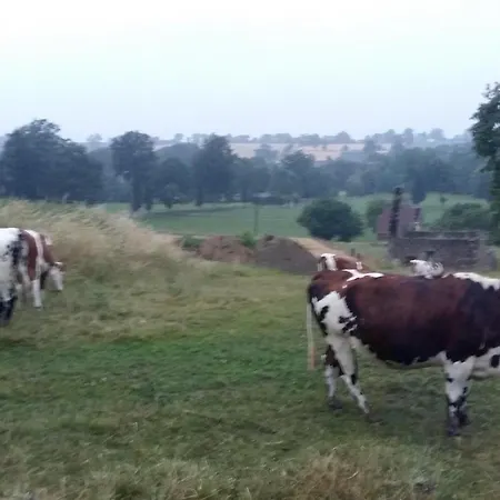 Ancien Avec Wifi Et Animaux Admis Pres De La Suisse Normande - Fr-1-497-141 *