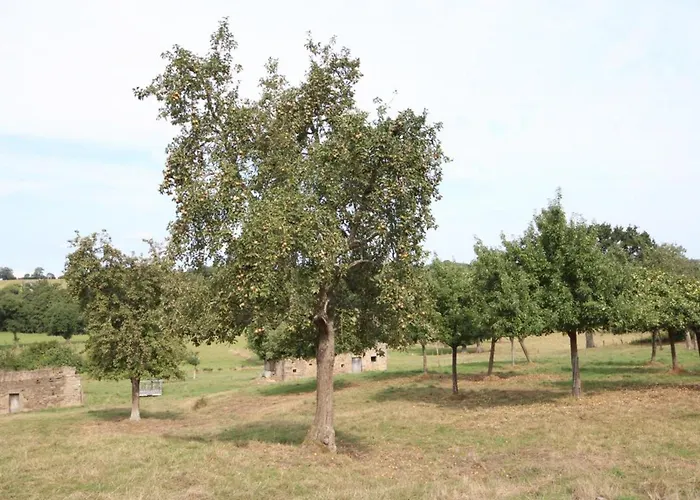 Ancien Avec Wifi Et Animaux Admis Pres De La Suisse Normande - Fr-1-497-141