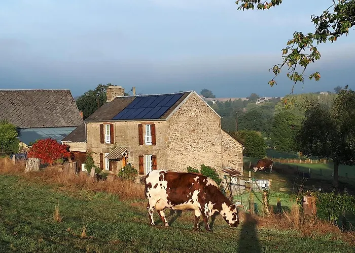 Maison De Charme, Animaux Admis - Jusqu'a 6 Pers. - Fr-1-497-141 *