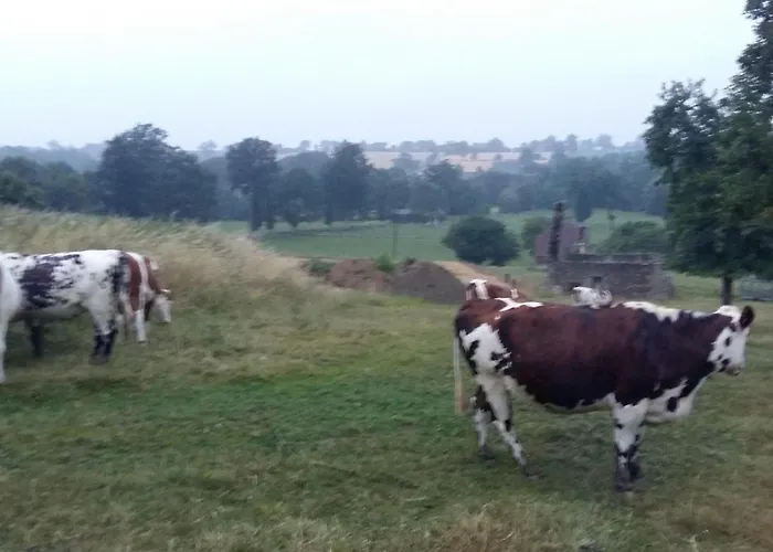 Ancien Avec Wifi Et Animaux Admis Pres De La Suisse Normande - Fr-1-497-141 *
